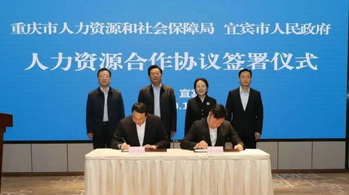 川渝協同新突破 重慶與宜賓推出多項公共服務異地通辦